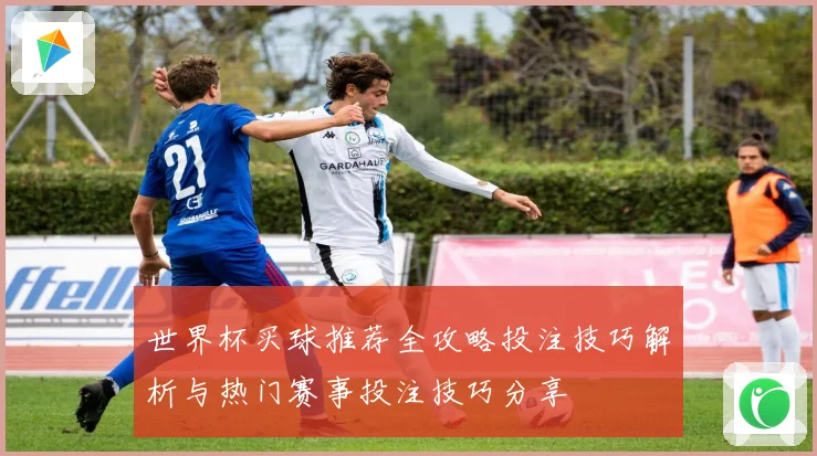 世界杯买球推荐全攻略投注技巧解析与热门赛事投注技巧分享